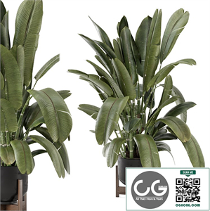 Indoor Plants in Handmade Metal Pot 2820