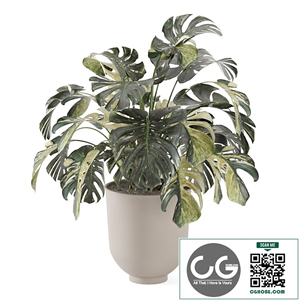 Indoor Plants in Ferm Living Bau Pot Large_Set 2876