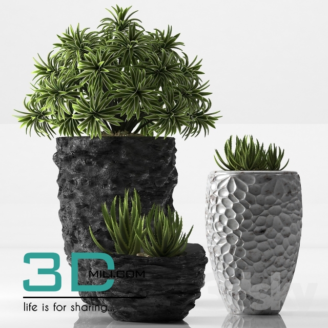 107. Plant 107 3dsmax Model free Download - 3DMili 2025 Download 3D ...