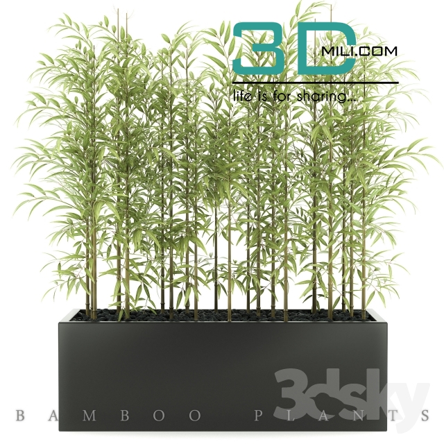139. Plant 139 3dsmax Model free Download - 3DMili 2024 - Download 3D ...