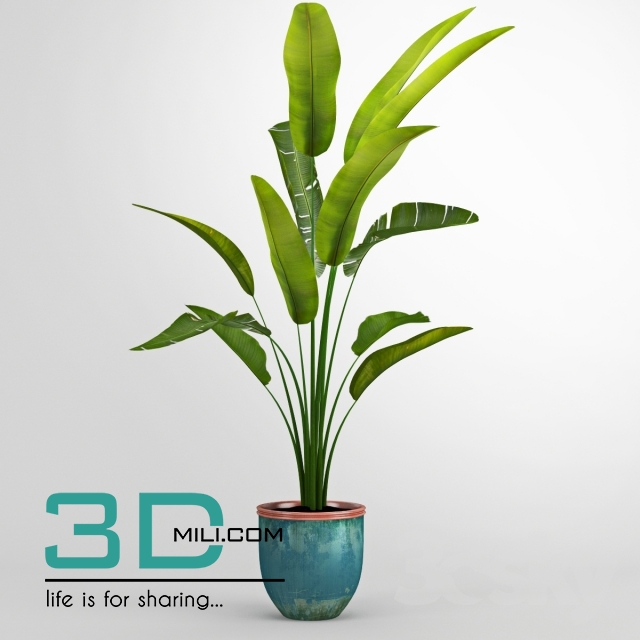 100. Plant 100 3dsmax Model free Download - 3DMili 2024 - Download 3D ...