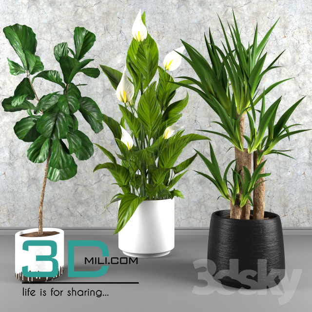 232. Plant 232 3dsmax Model Free Download - 3DMili 2025 Download 3D ...