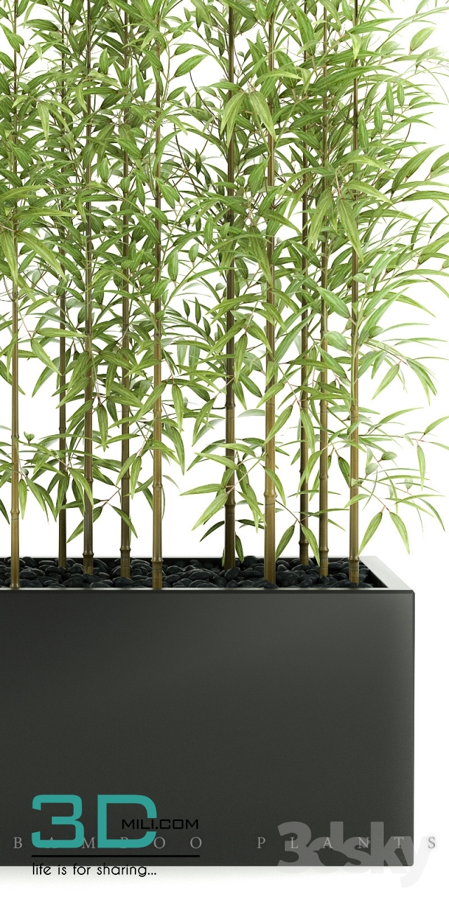 239. Plant 239 3dsmax Model Free Download - 3DMili 2024 - Download 3D ...