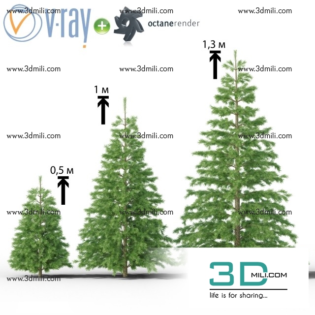 56 Trees 3dsmax File Free Download 3DMili 2024 3DMili 2025 Download   45071974821 2c3663dc0c O 