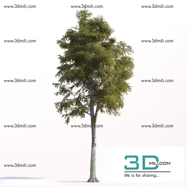 57.Trees 3dsmax File Free Download