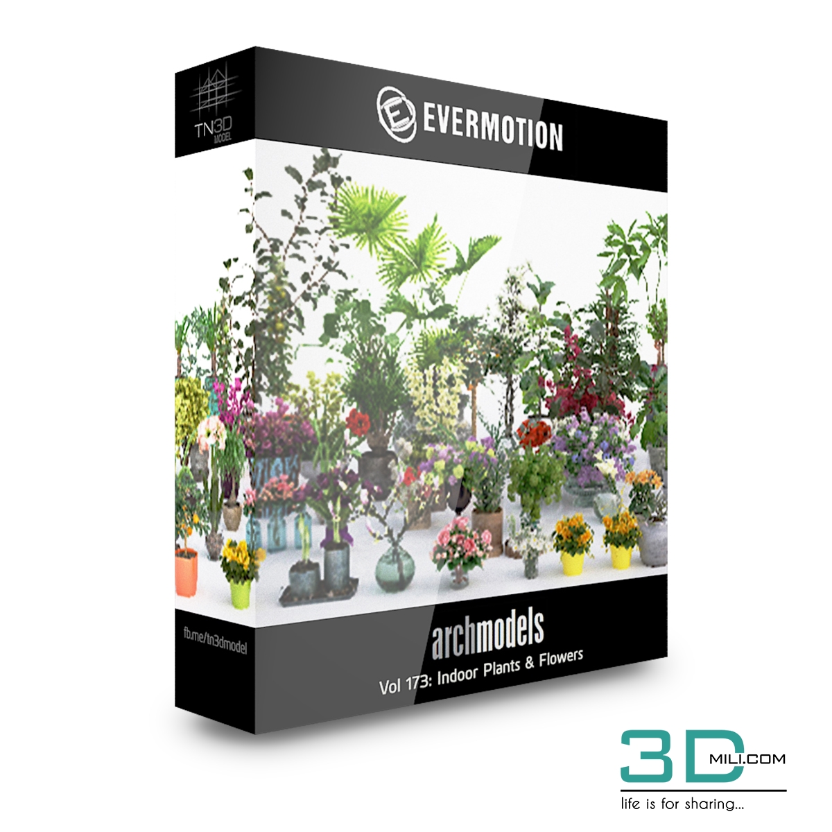 Evermotion Archmodels Vol 173: Indoor Plants & Flowers - 3DMili 2025 ...