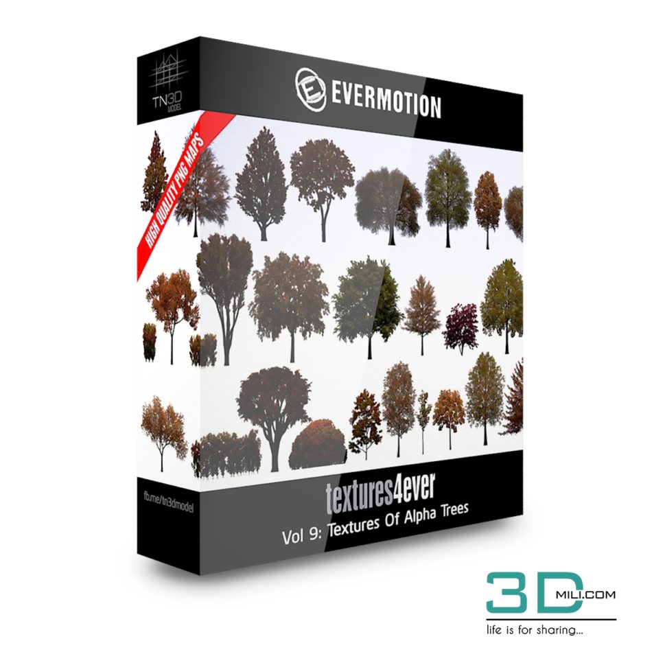 Evermotion Texture jpeg