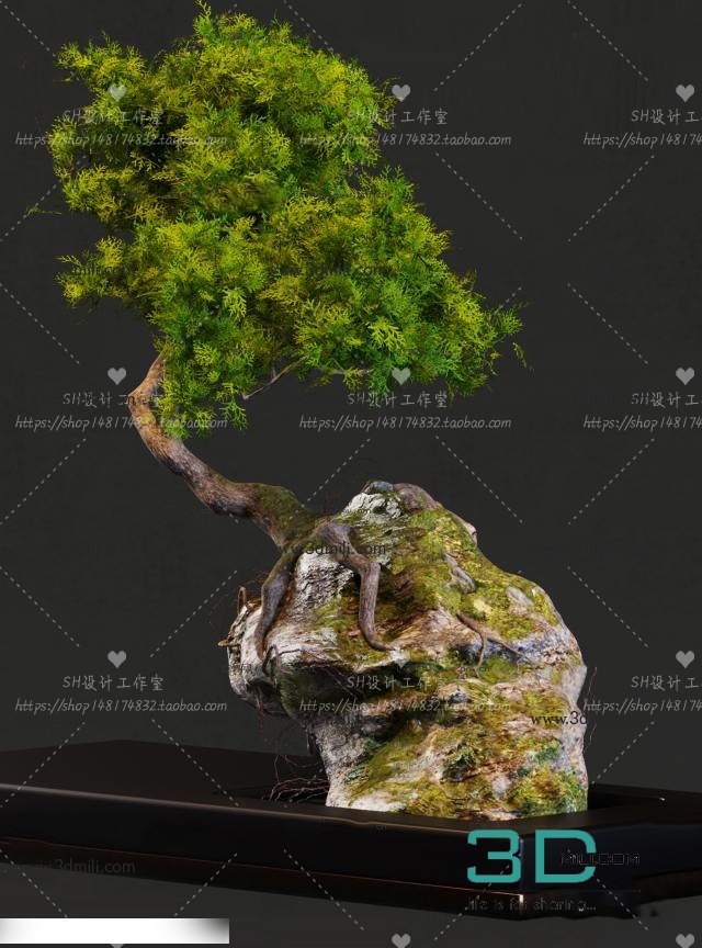 Bonsai -