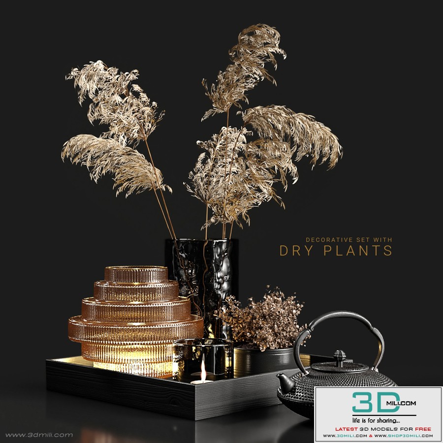 Decorative set with dry plants 3