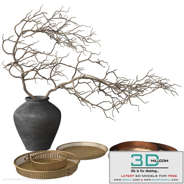Rustic Set – Vase, Branch, Copper Bowl and Brass Tray