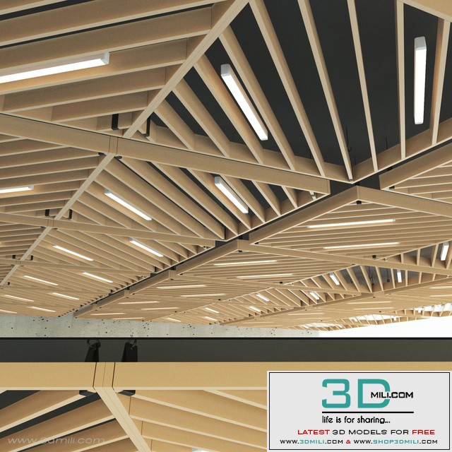 Wooden suspended ceiling 13