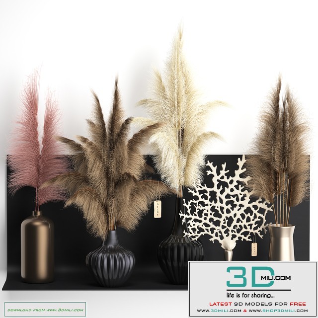 A collection of bouquets of dried flowers in vases on a black metal shelf with pampas, coral, Cortaderia. Set 11.