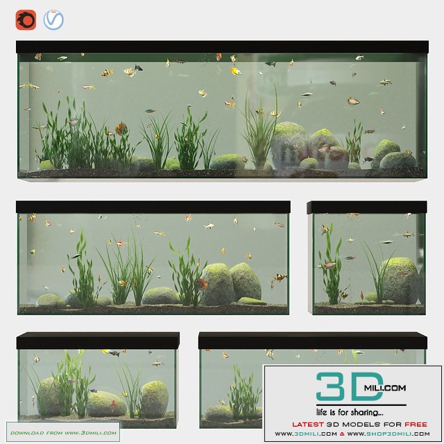 Aquarium set