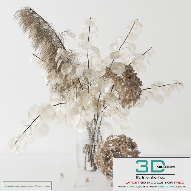 Bouquet with lunaria, pampas grass and hydragea