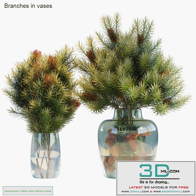 Branches in vases 30: Red Candle
