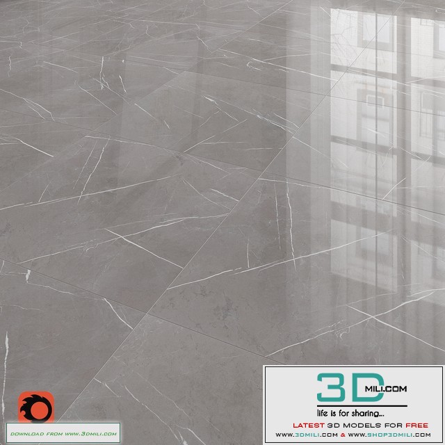 Majesty gray floor tiles