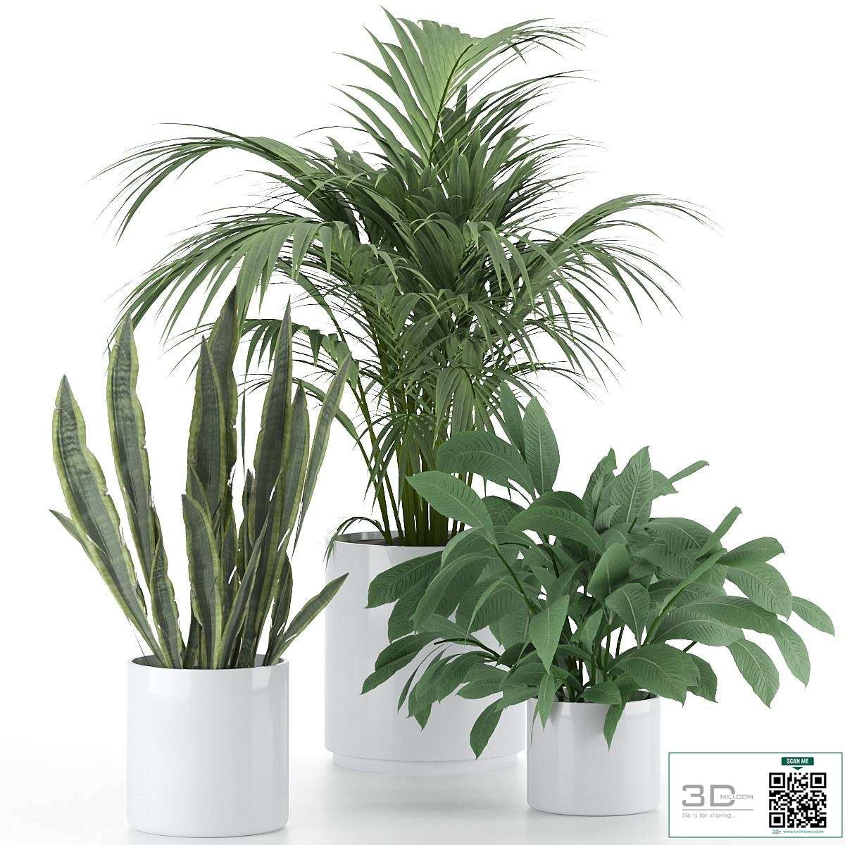 Plant-Set-001