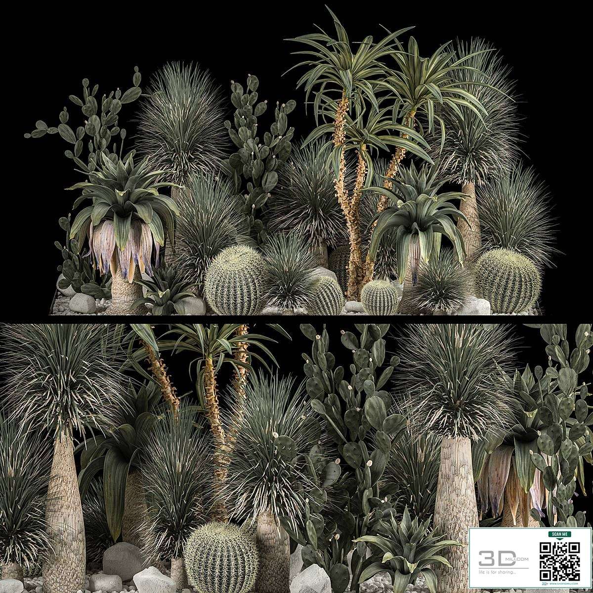 Collection of tropical plants of the desert 1117. cactus, yucca, prickly pear, thickets, bushes, garden, dracaena