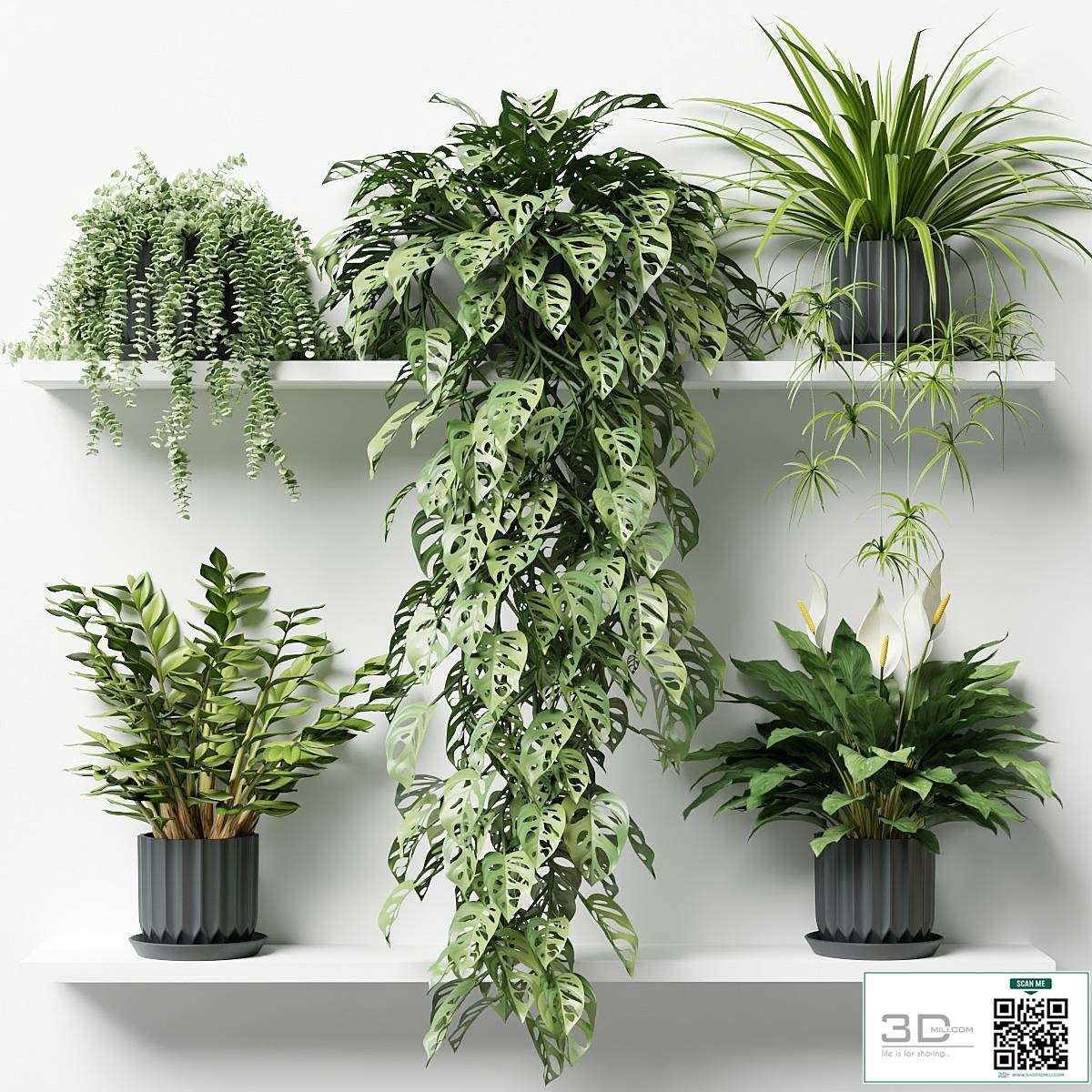 Plants on a shelf in ribbed pots