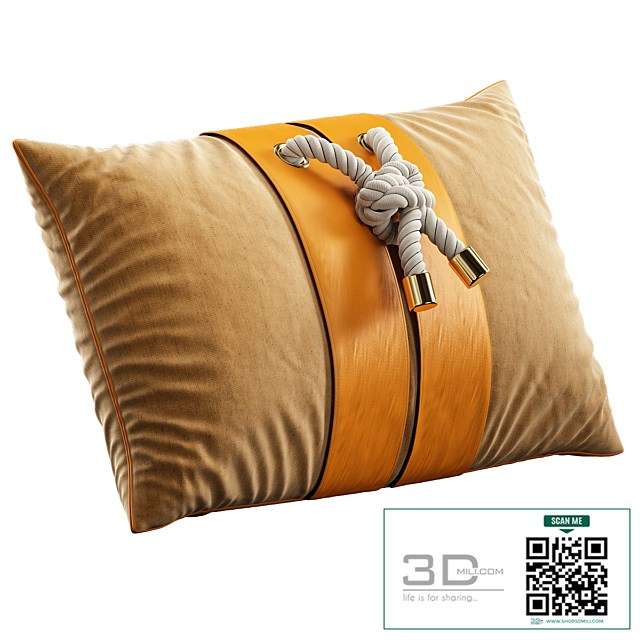 Decorative Pillow # 11