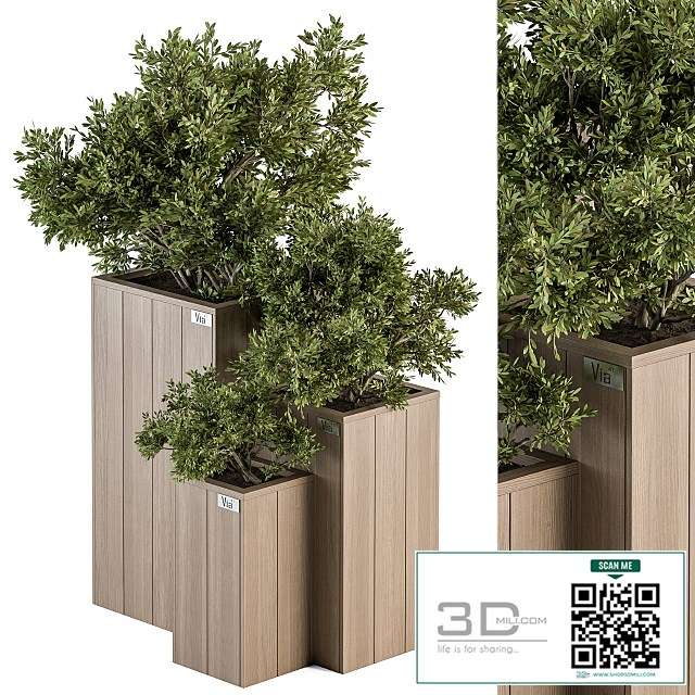 Outdoor Plant Set 298 – Wooden Plant Box