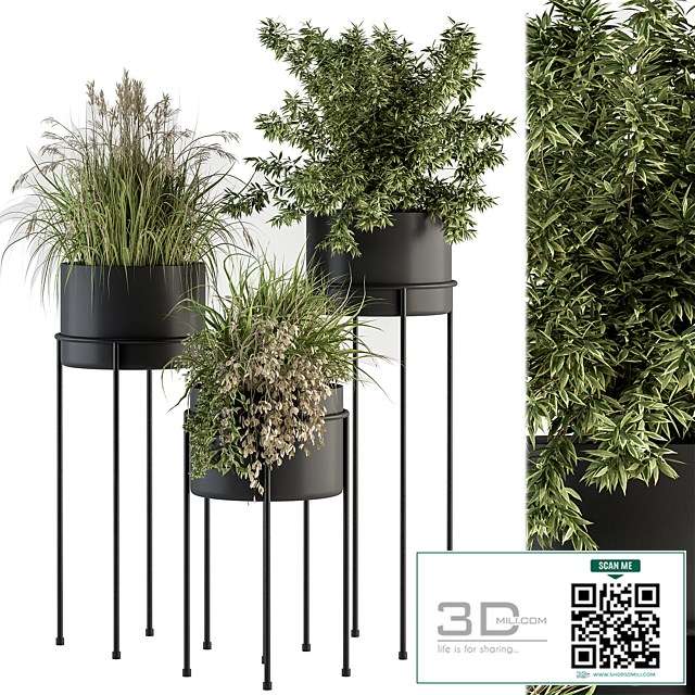 indoor Plant Set 370 – Tree and Plant Set Stand pot