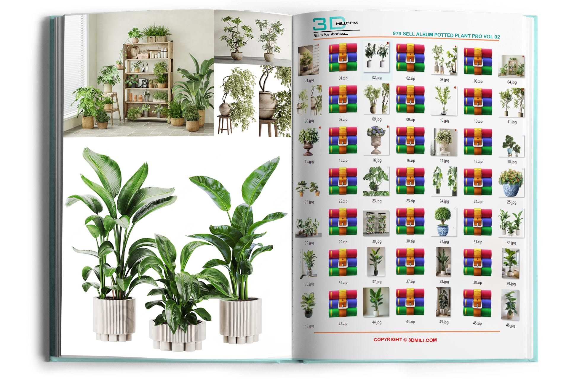979.Sell Album Potted Plant PRO Vol 02