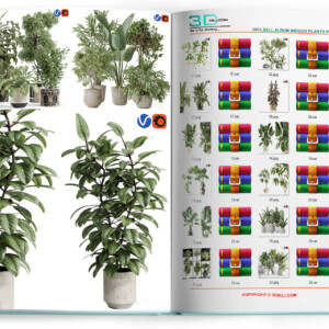1001.Sell Album Indoor Plants PRO Vol 01