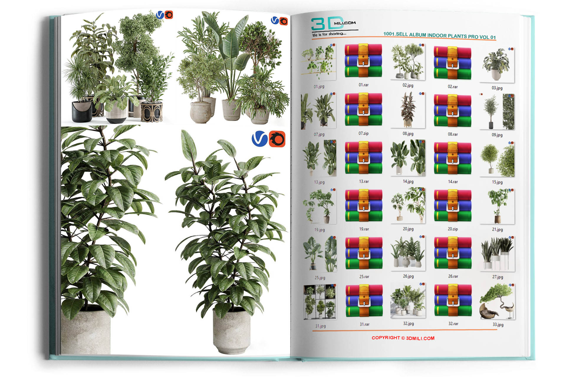 1001.Sell Album Indoor Plants PRO Vol 01