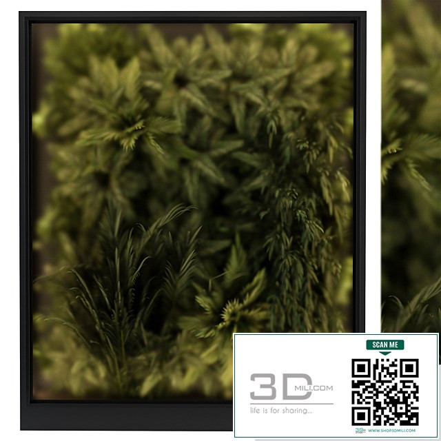 Outdoor Wood Fence with Ivy Plants – Fence 07